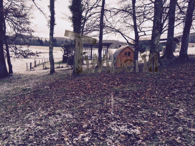 Philippe, DOMPIERRE LES EGLISES, France (3)