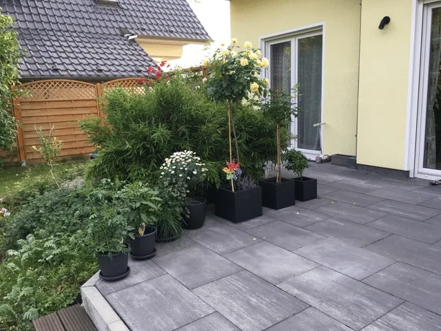 Installation d’un bain nordique 14 Coin de jardin planté près d’une terrasse avant la préparation d’un emplacement de bain nordique